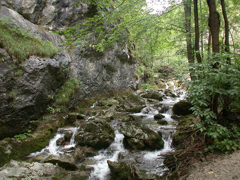 DSCN3478.JPG
