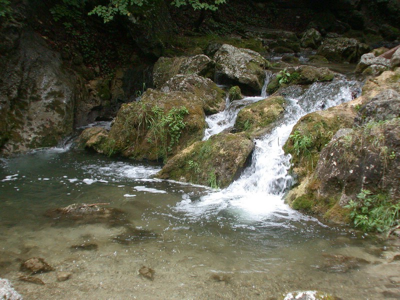 DSCN3480.JPG