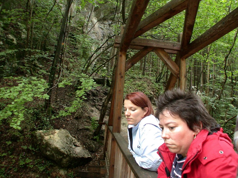 DSCN3481.JPG