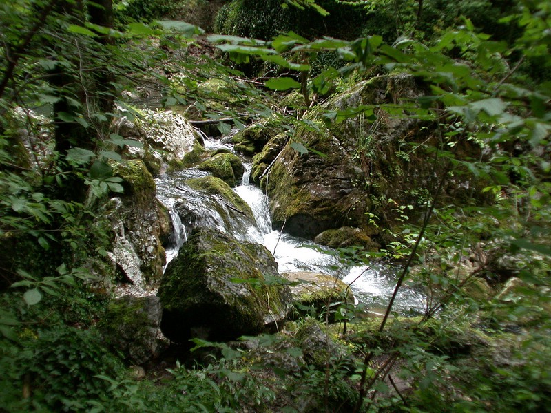 DSCN3482.JPG