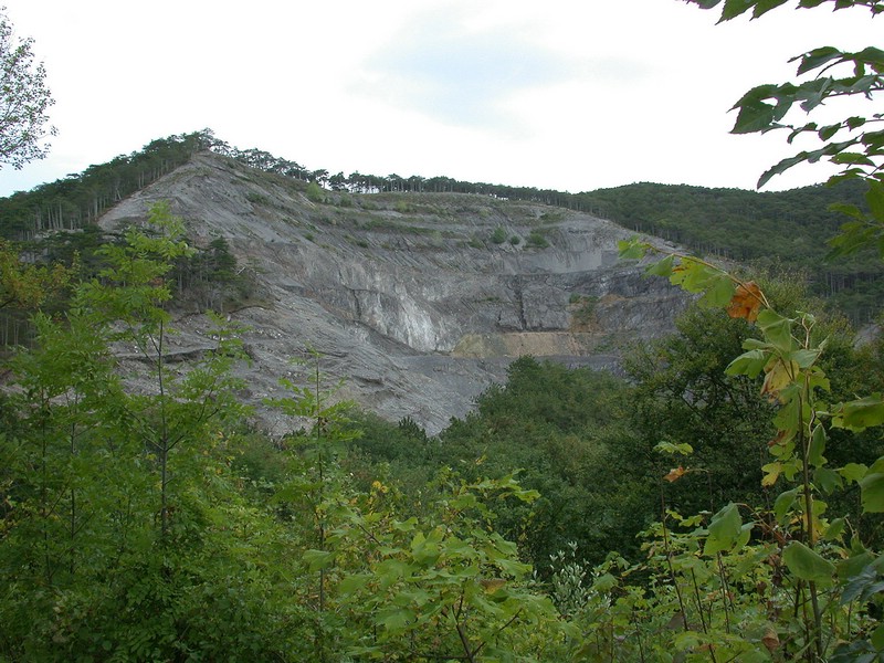 DSCN3508.JPG