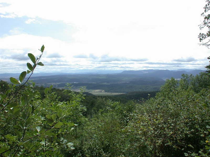 DSCN3510.JPG