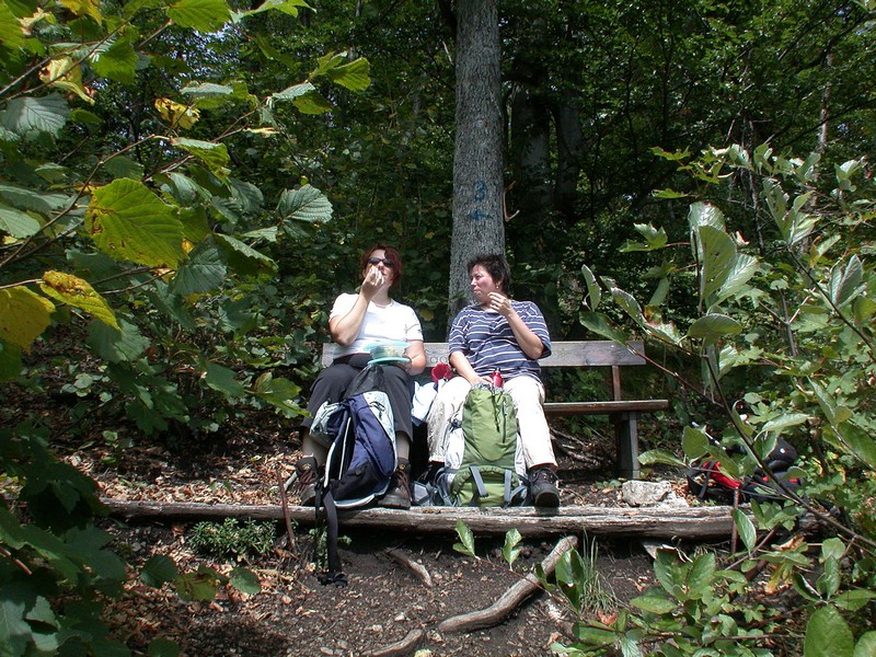 DSCN3511.JPG