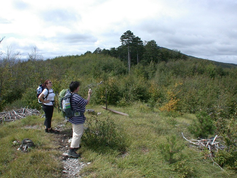 DSCN3513.JPG
