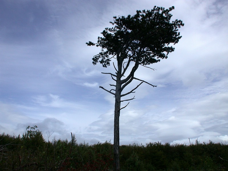 DSCN3514.JPG