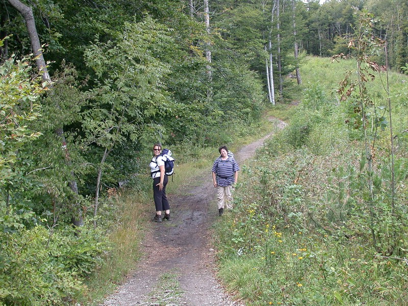 DSCN3517.JPG
