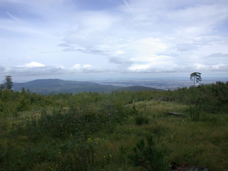 DSCN3519.JPG