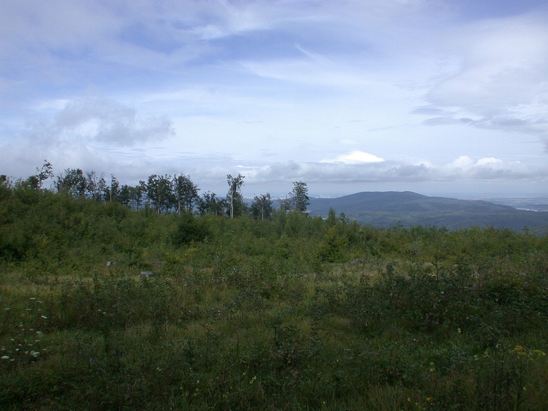 DSCN3520.JPG