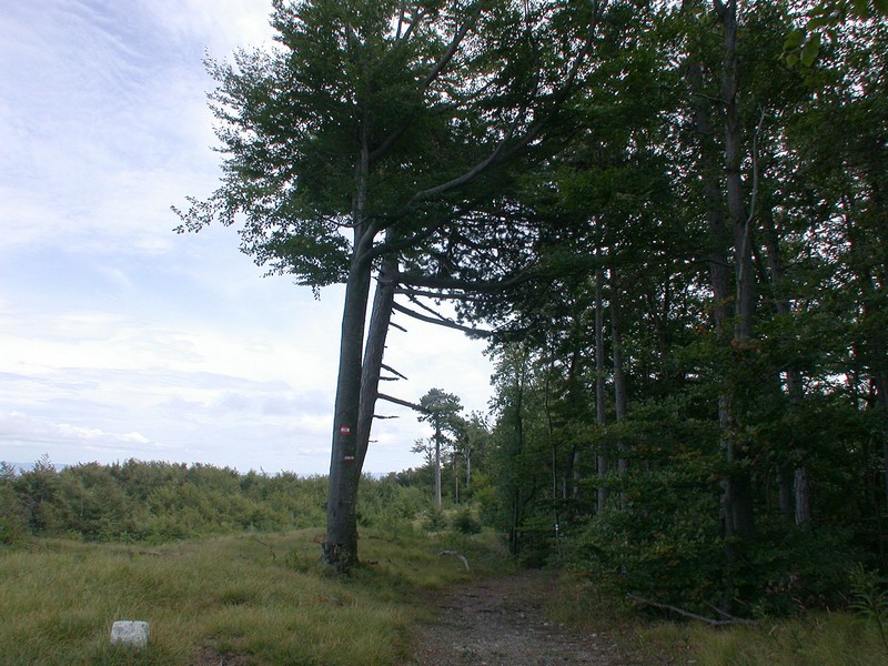 DSCN3523.JPG