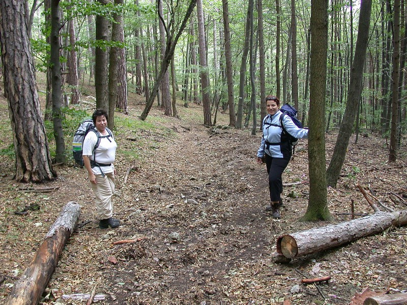 DSCN3527.JPG