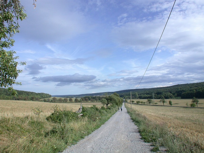 DSCN3529.JPG