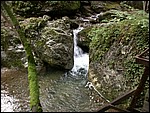 DSCN3447.JPG