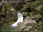 DSCN3448.JPG