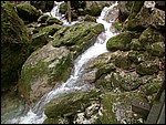DSCN3450.JPG