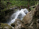 DSCN3453.JPG