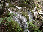 DSCN3456.JPG