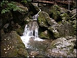 DSCN3463.JPG