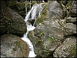 DSCN3466.JPG