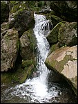 DSCN3469.JPG
