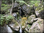 DSCN3470.JPG