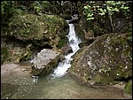 DSCN3475.JPG