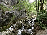 DSCN3478.JPG