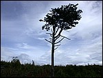 DSCN3514.JPG