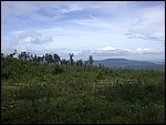 DSCN3520.JPG