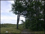 DSCN3523.JPG