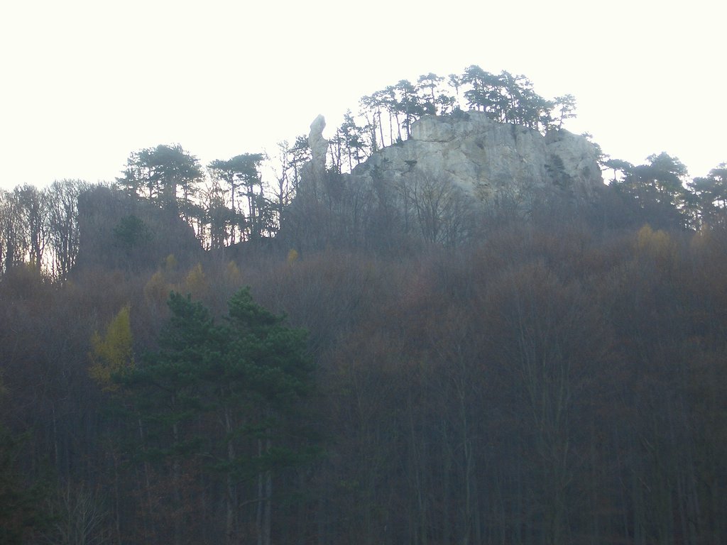CIMG3156.JPG