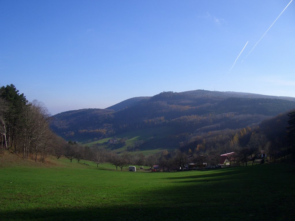 CIMG3164.JPG