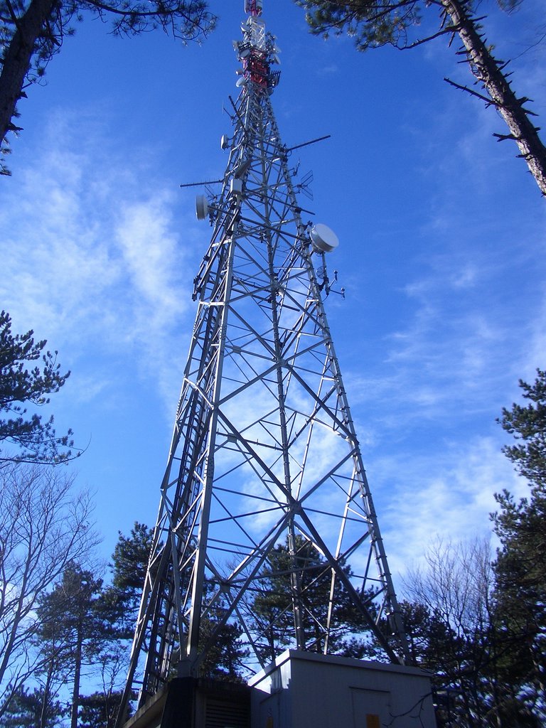 CIMG3169.JPG