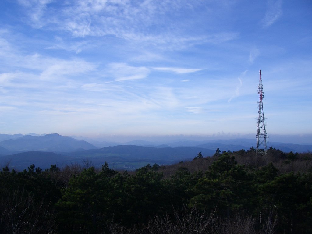 CIMG3173.JPG