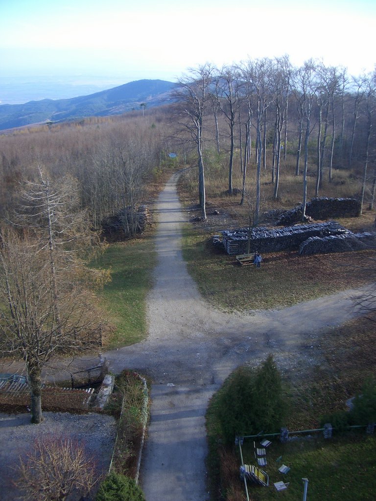 CIMG3177.JPG