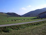 CIMG3151.JPG
