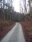 CIMG3182.JPG