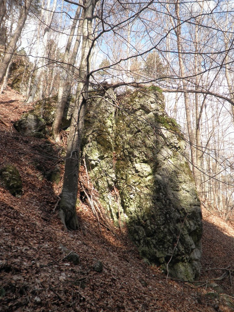 P3270031.JPG