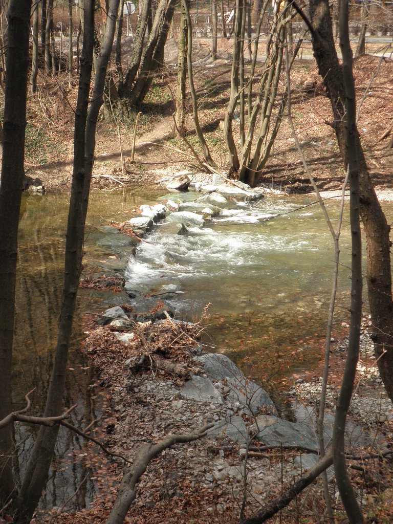 P3270034.JPG