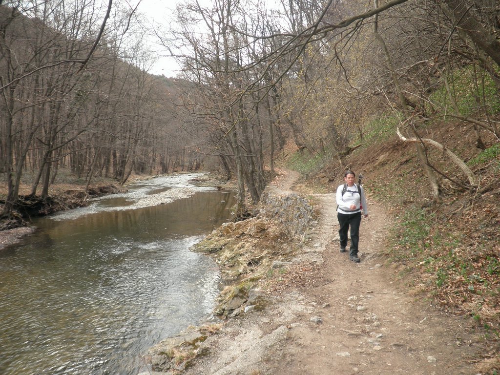 P3270038.JPG