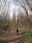 P3270007.JPG