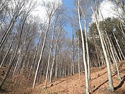 P3270028.JPG
