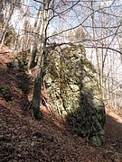 P3270031.JPG
