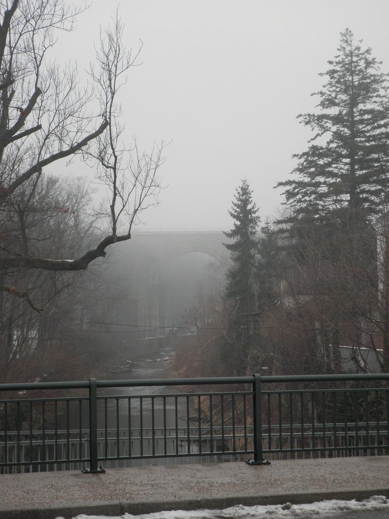 P1080002.JPG