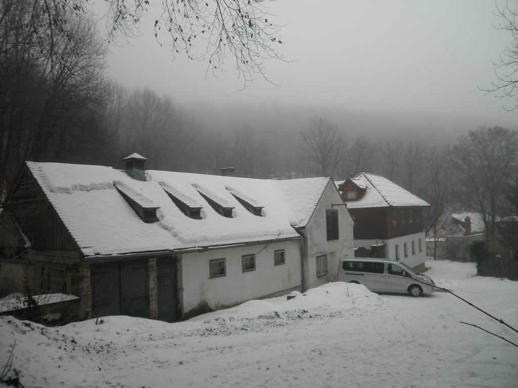 P1080006.JPG