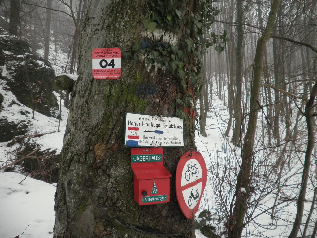 P1080007.JPG