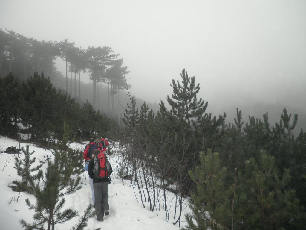 P1080011.JPG