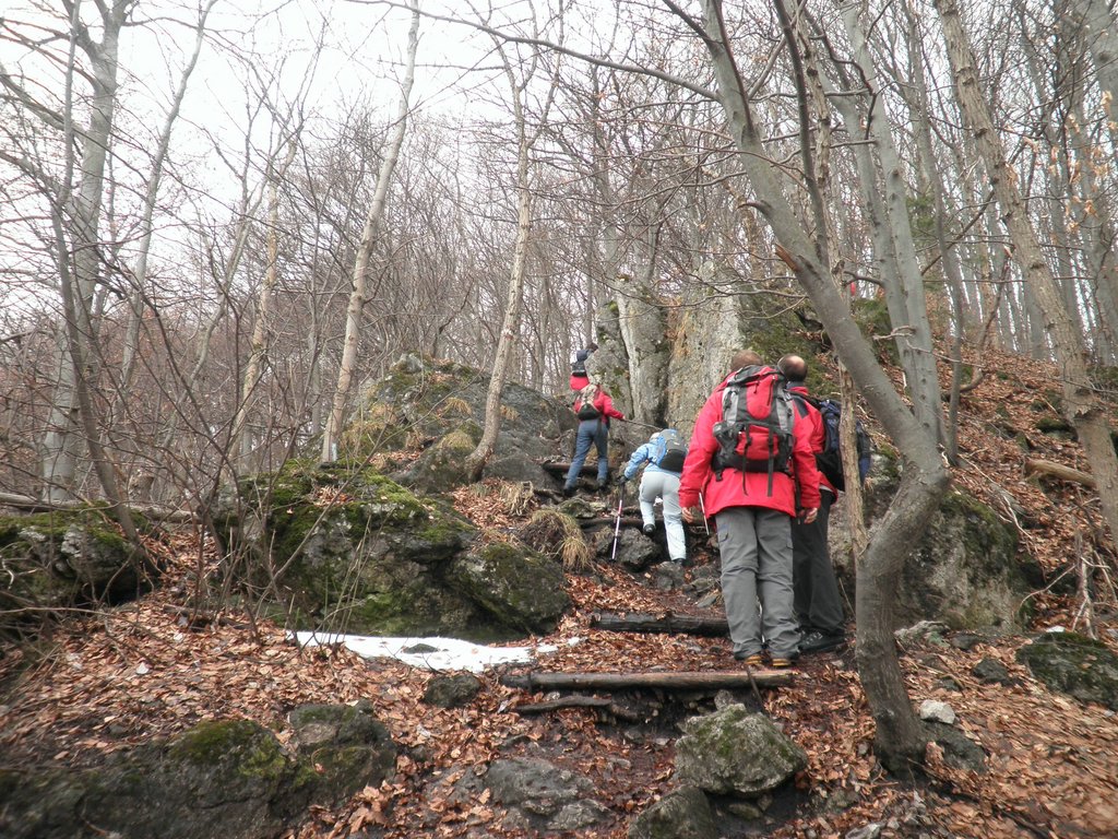 P1080014.JPG