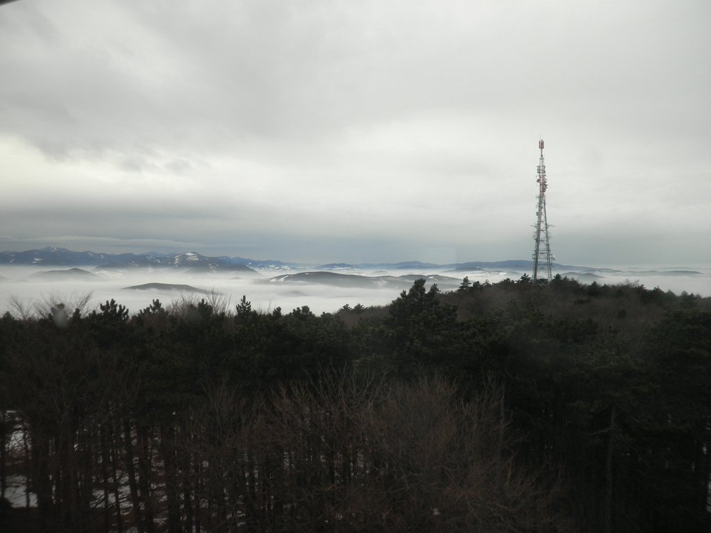 P1080021.JPG