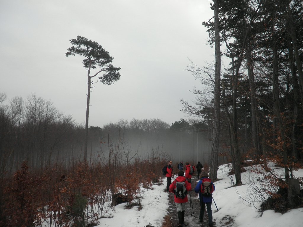P1080030.JPG