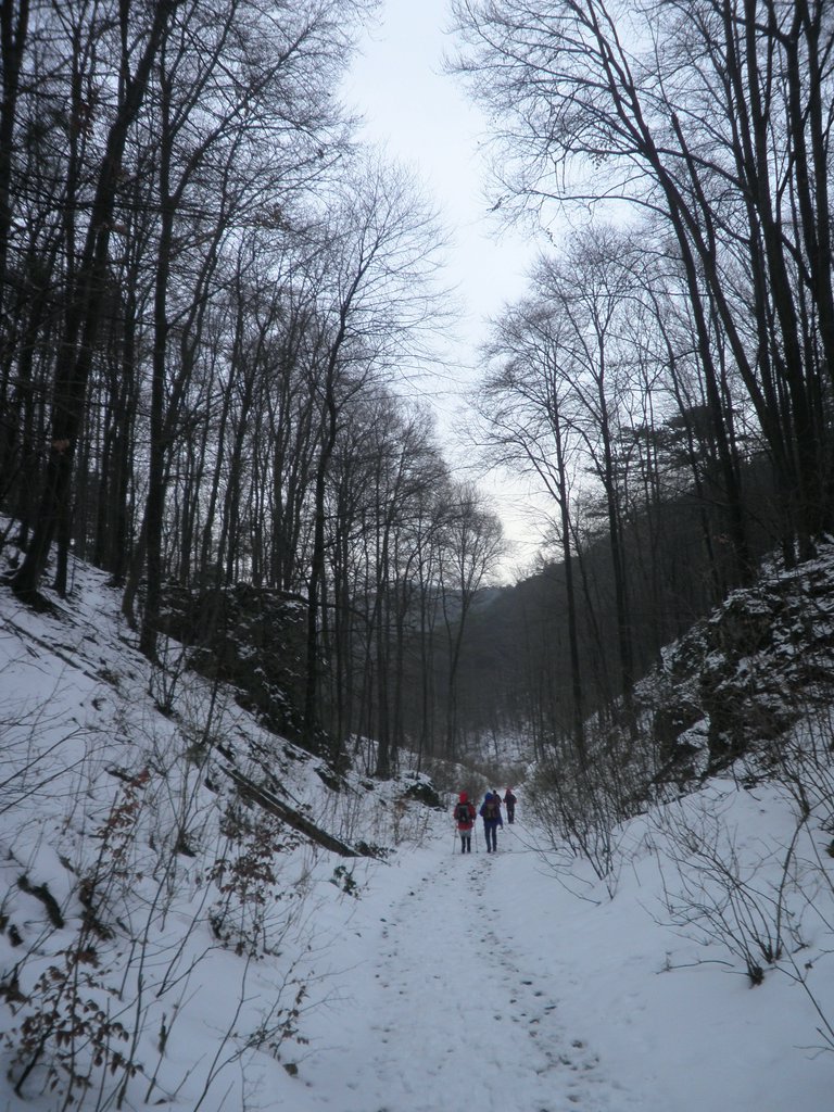 P1080031.JPG